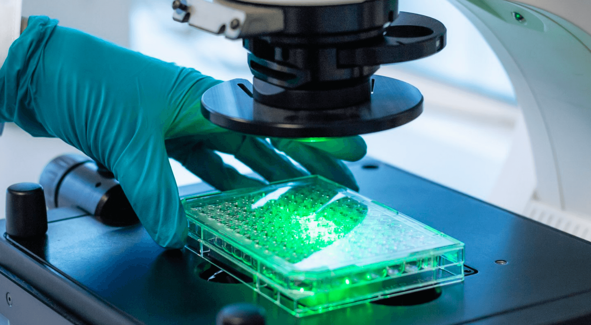 Neurmirna Therapeutics